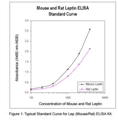 ELISA: Human, Mouse, Rat Leptin/OB ELISA Kit (Colorimetric) [KA0026]